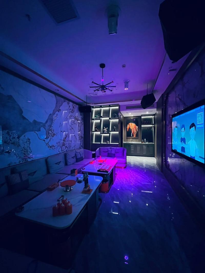 昭通商务KTV，尽享商务款待的乐趣-永善县ktv预定